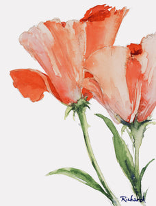 Tulips