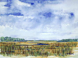 Storm in Low Country