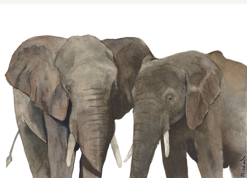 Two Elephants from Tanzania